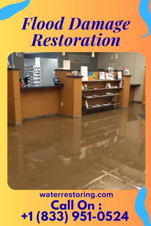 Flood Damage Restoration in Salisbury, MD