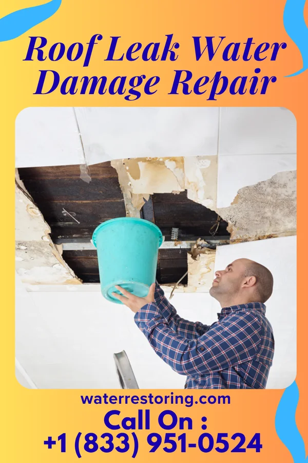 Roof Leak Water Damage Repair in Salisbury, MD