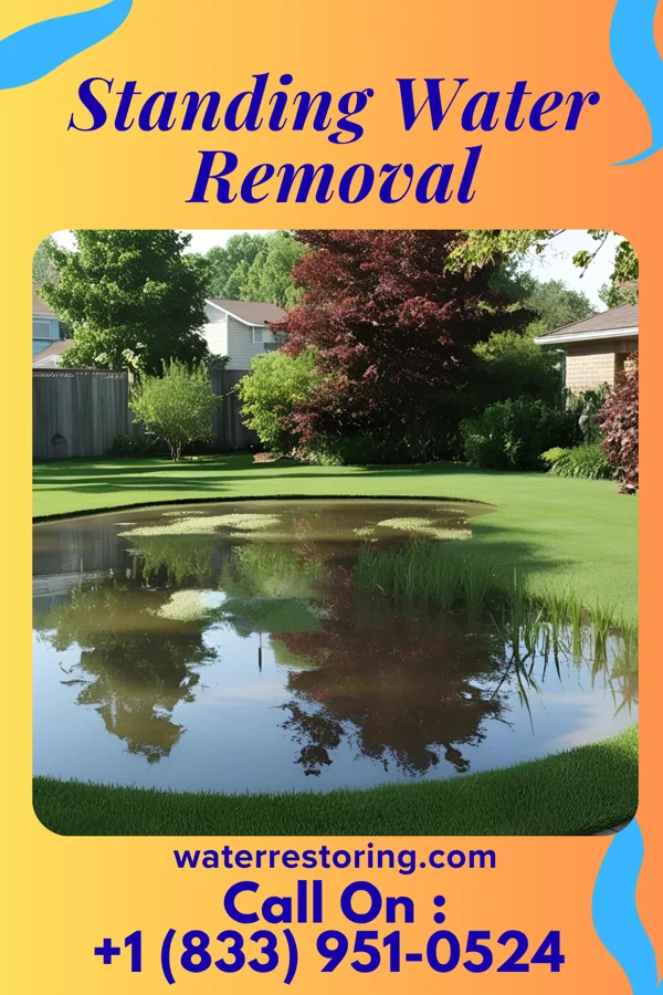 Standing Water Removal in Salisbury, MD